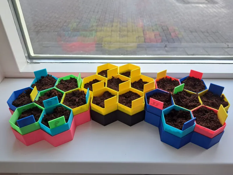 easy seedstarter honeycomb