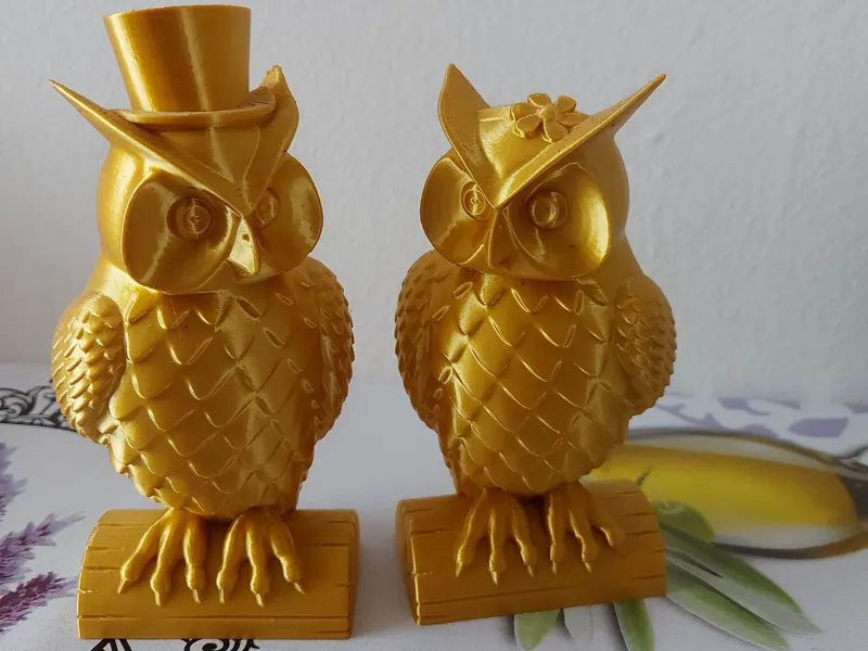 owl