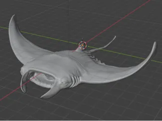 Manta fish