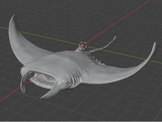 Manta fish