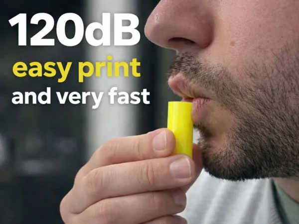 https://makerworld.bblmw.com/makerworld/model/DSM00000002412315/design/320c88454a06eb52.jpg