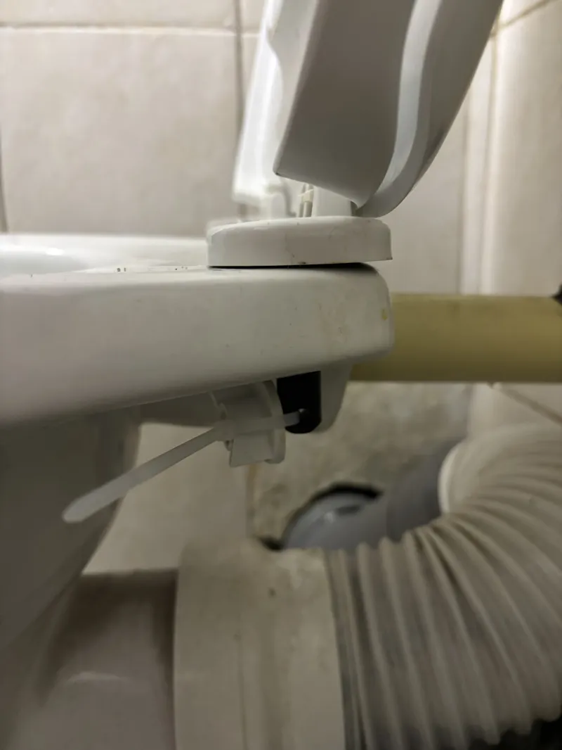 Toilet Insert