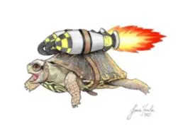 Tortuga cohete 