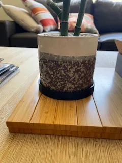PLANT HOLDER