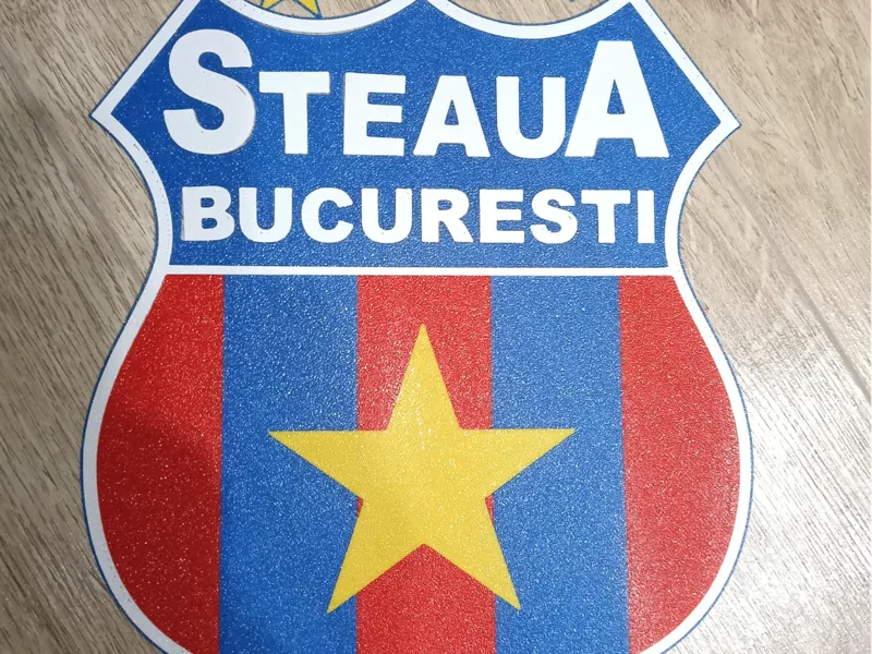 Emblem/Coat of Arms of the CSA/FC STEAUA Team LOGO