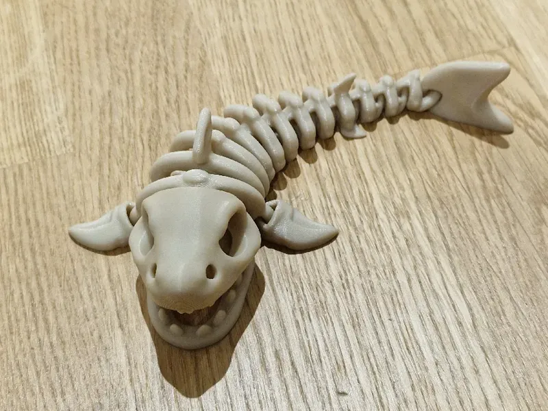 Articulated Skeleton Shark