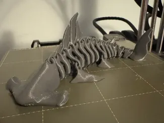 Hammerhead Shark