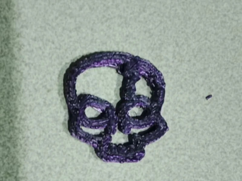 2D skull face