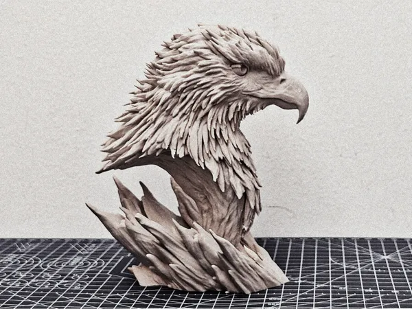 https://makerworld.bblmw.com/makerworld/model/DSM00000002418965/design/808fa18e51ce6dd2.jpg