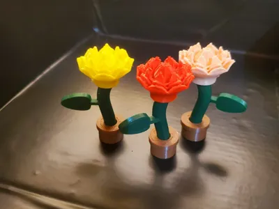 Flores