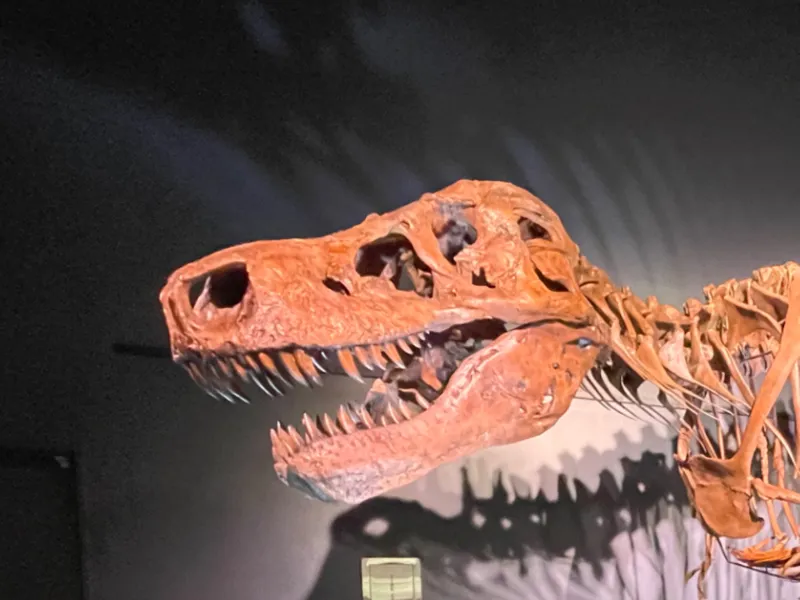 T-Rex with Heart on Chest