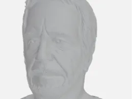 Einstein head model
