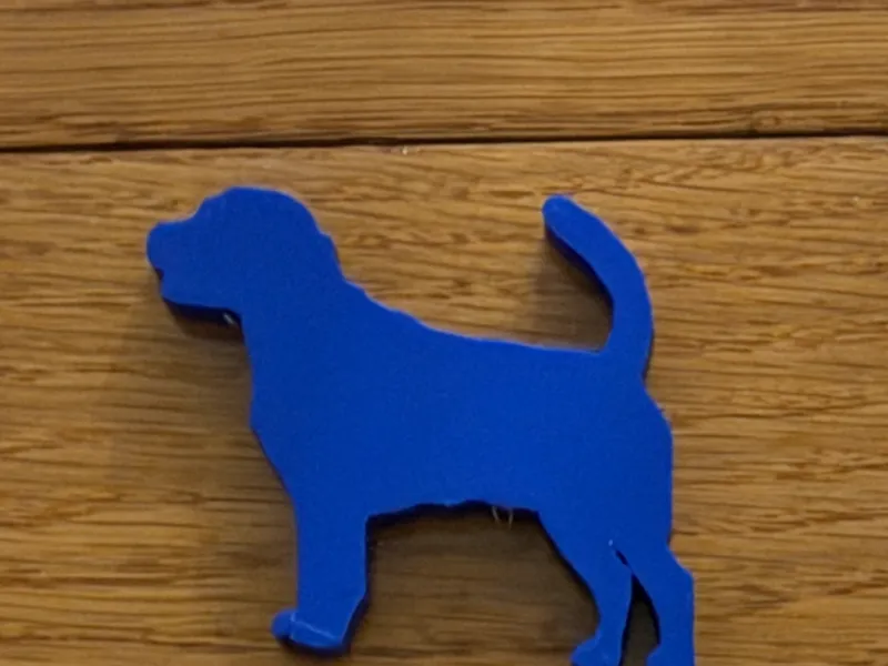 mini dog