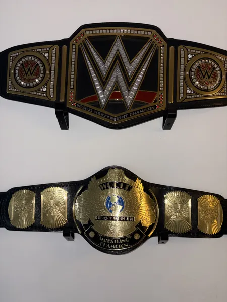 https://makerworld.bblmw.com/makerworld/model/DSM00000002423278/design/2026-02-20_njwrkfx4603p.jpeg