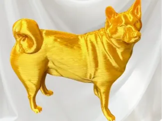 Shiba inu - chunky