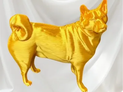 Shiba inu - chunky
