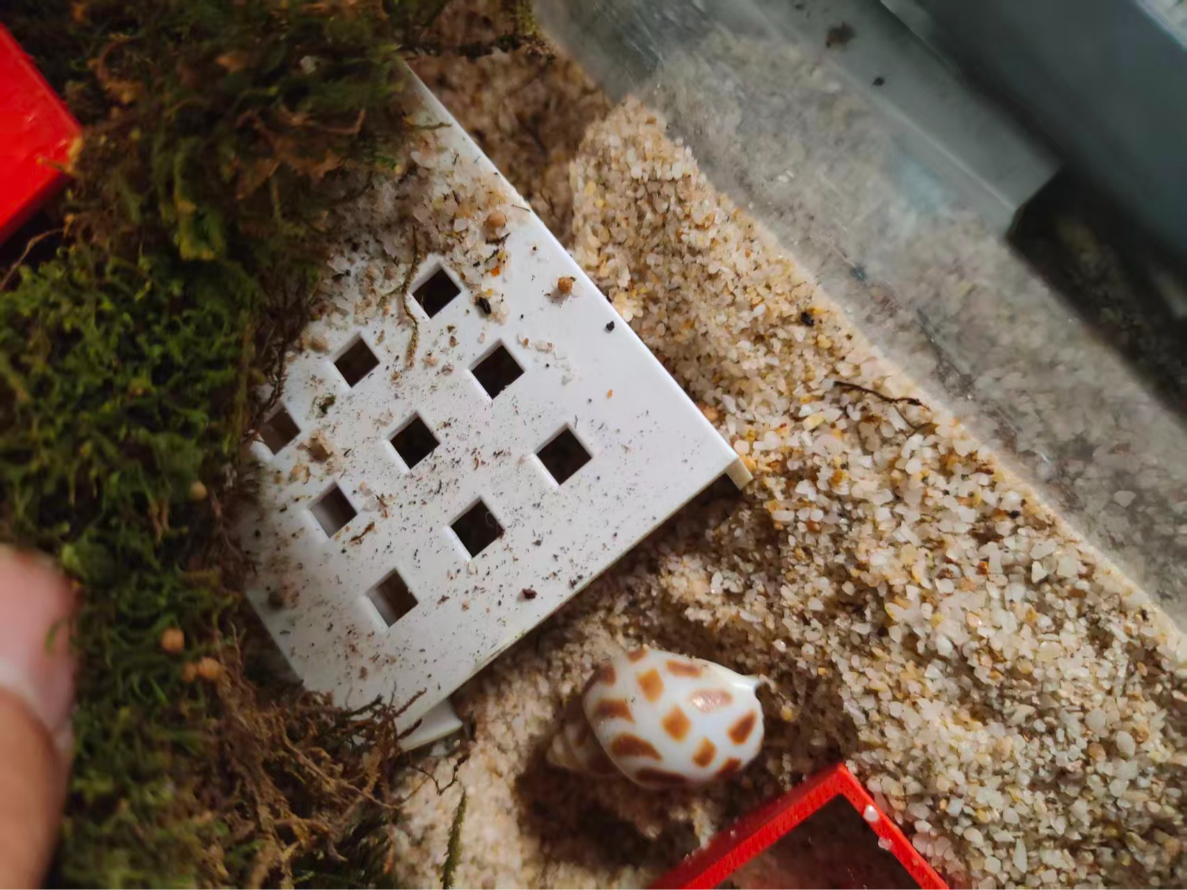 寄居蟹冬季地下室透气躲避屋