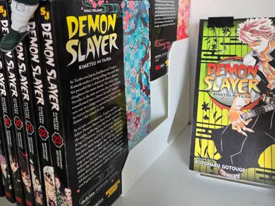 Manga risers