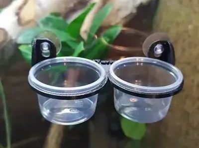 feeder terrarium gecko cup holder