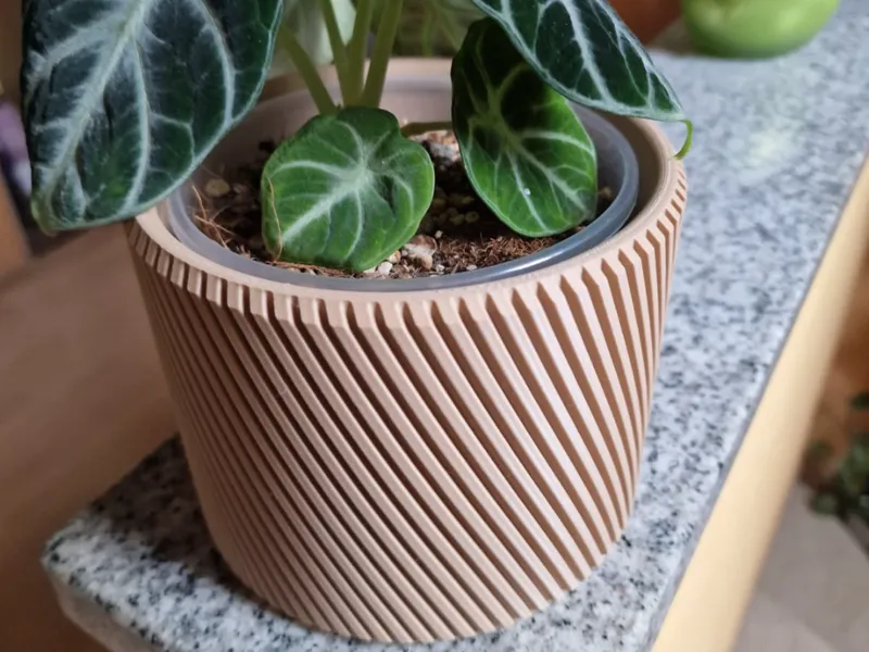 Spiral Planter