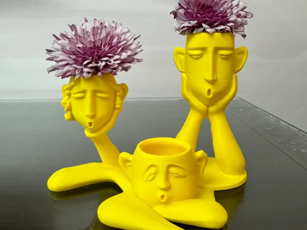 https://makerworld.bblmw.com/makerworld/model/DSM00000002427265/design/991bfb7d58ec631c.jpg