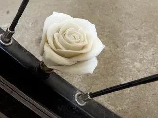 Rose Schrader Bike Valve Cap
