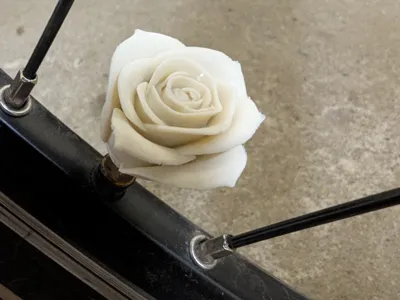 Rose Schrader Bike Valve Cap
