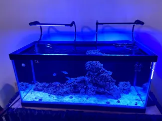 Aqua illumination AI Blade Mount