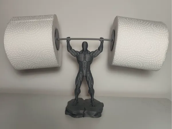 https://makerworld.bblmw.com/makerworld/model/DSM00000002428840/design/162dde38defab739.jpg