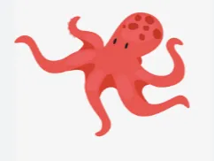 octopus