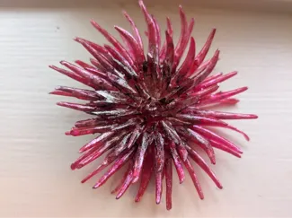 Stiletto Dahlia