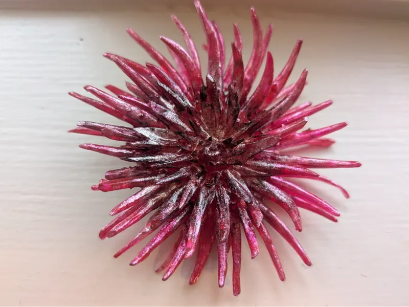 Stiletto Dahlia