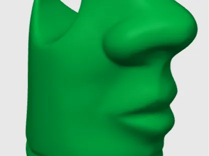Glasses Holder Face