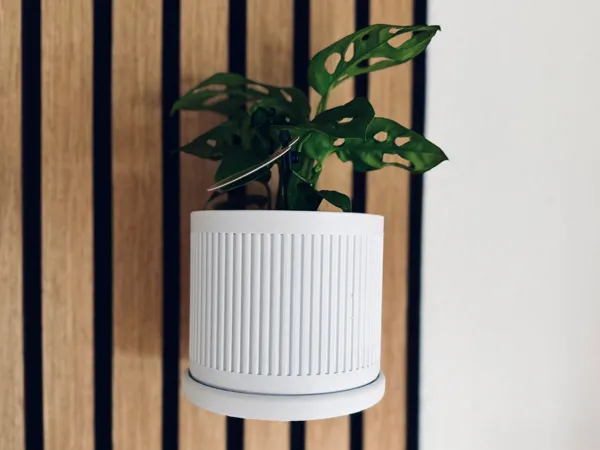 https://makerworld.bblmw.com/makerworld/model/DSM00000002431118/design/6661c17d962778dd.jpeg