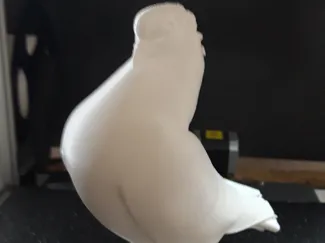 Mokeetaube