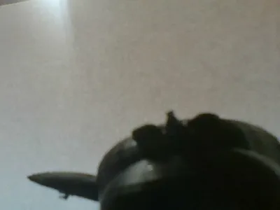 My Penguin
