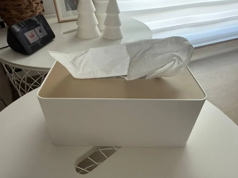 tissue Box fine