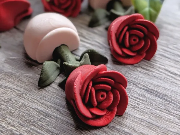 https://makerworld.bblmw.com/makerworld/model/DSM00000002433029/design/54665183e1188e55.jpg