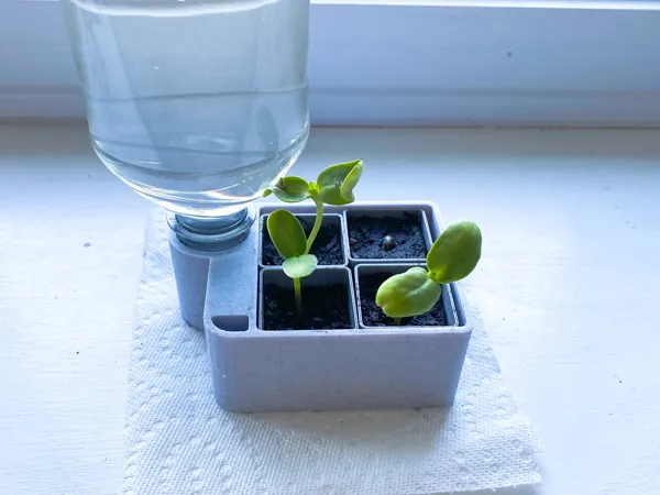 https://makerworld.bblmw.com/makerworld/model/DSM00000002435039/design/fa3f4a00796bdeb9.webp