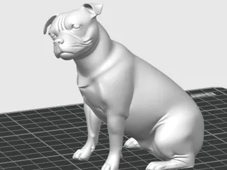 Staffie