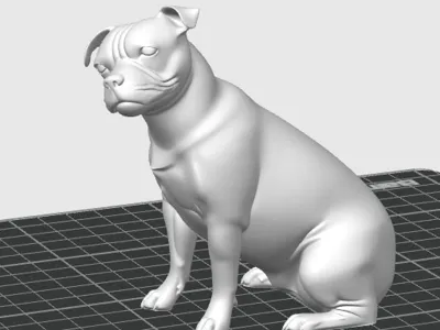Staffie