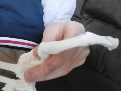 Skeleton spider leg fix