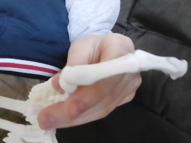 Skeleton spider leg fix
