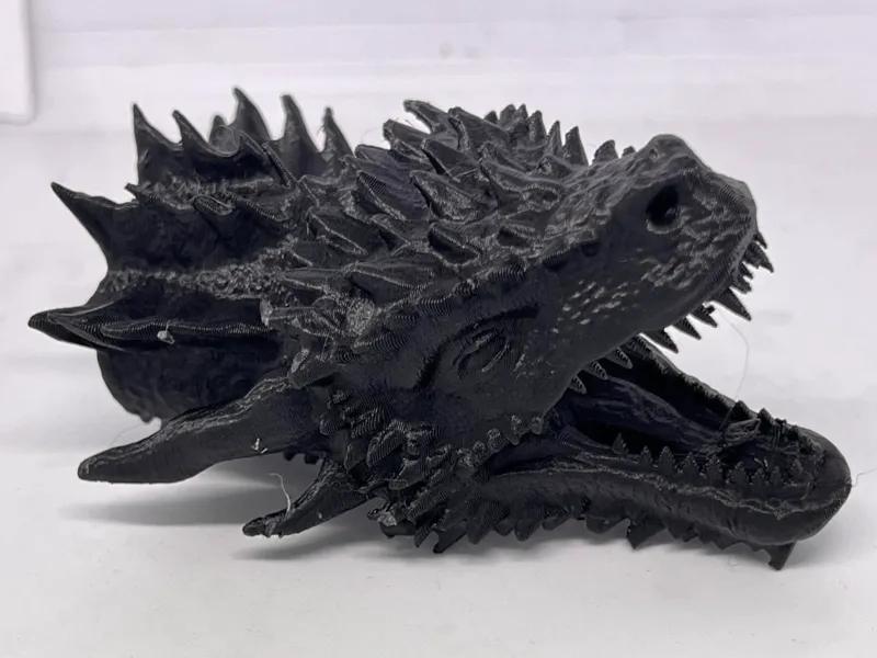 A Dragon's Head