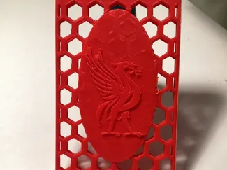 Liverpool ID card case