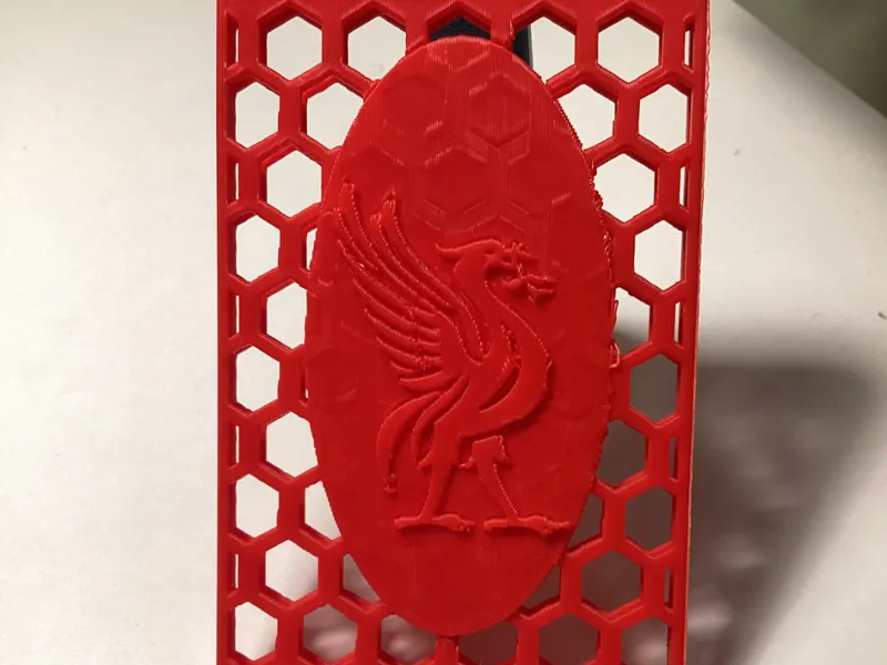 Liverpool ID card case 