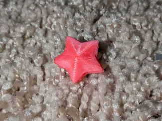Just A SUPER COOL Star!!!!!!!!!!!!!!!!!!!!!!!!!!!!