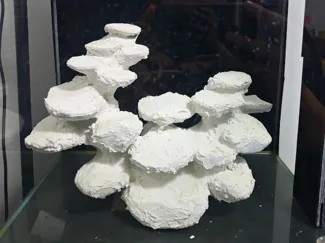 45方缸珊瑚造景分盘