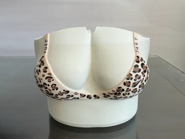 https://makerworld.bblmw.com/makerworld/model/DSM00000002440899/design/2ed66e2fa28d8a59.jpg