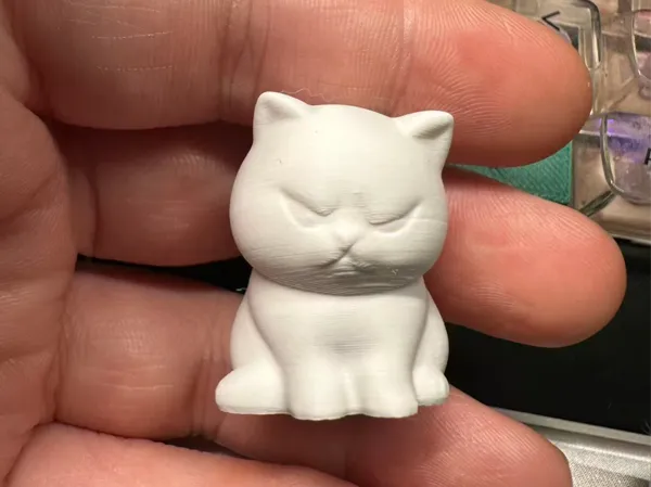 https://makerworld.bblmw.com/makerworld/model/DSM00000002440911/design/7bc0c39ee89ec5fe.jpg